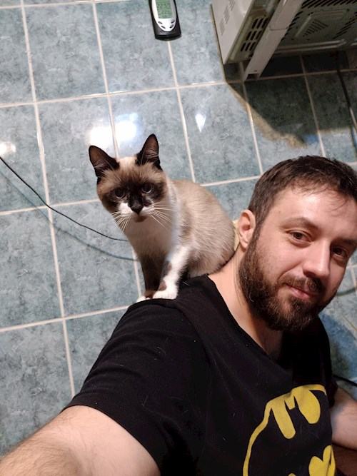 Alex- petsitter București or Pet nanny for cats 