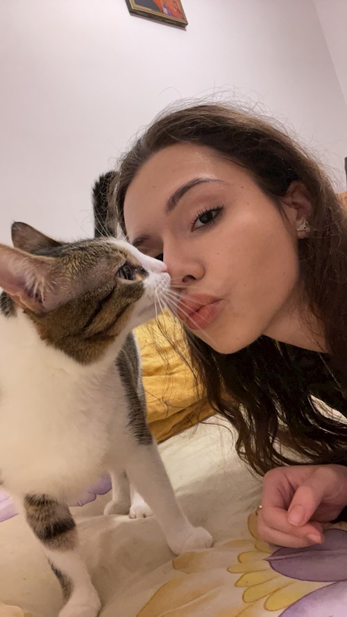 Andreea- petsitter București vagy Állat szitter a kutyák cicák 