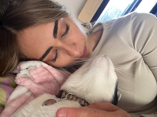 Martina- petsitter Timișoara vagy Állat szitter a kutyák cicák 