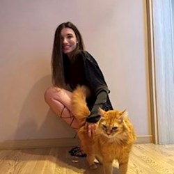 Ioana - pet sitter cicák kutyák București