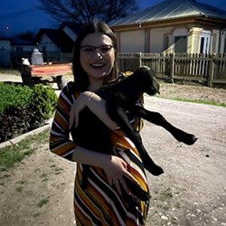 Mureșan - pet sitter cicák kutyák București